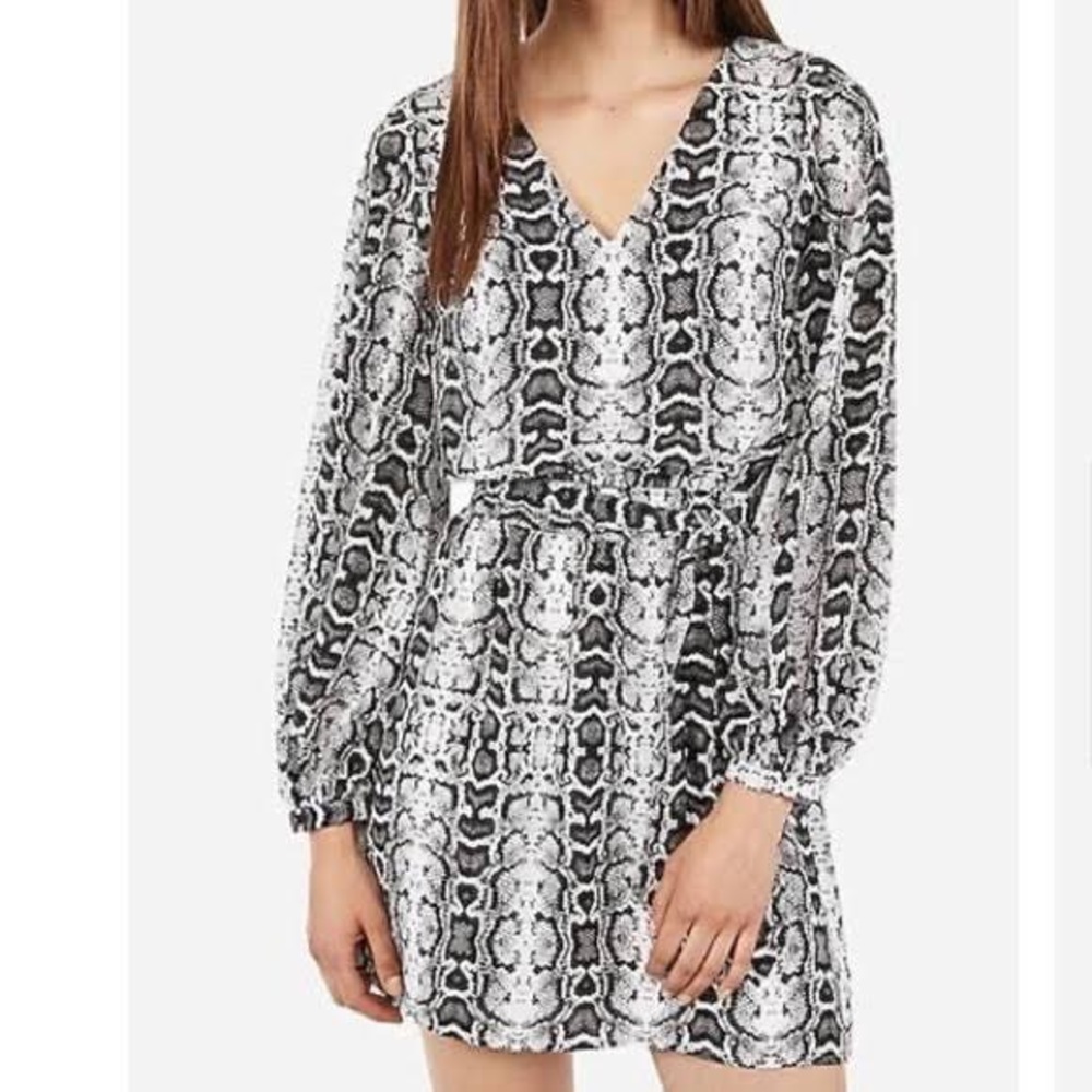 Snakeskin dress from express